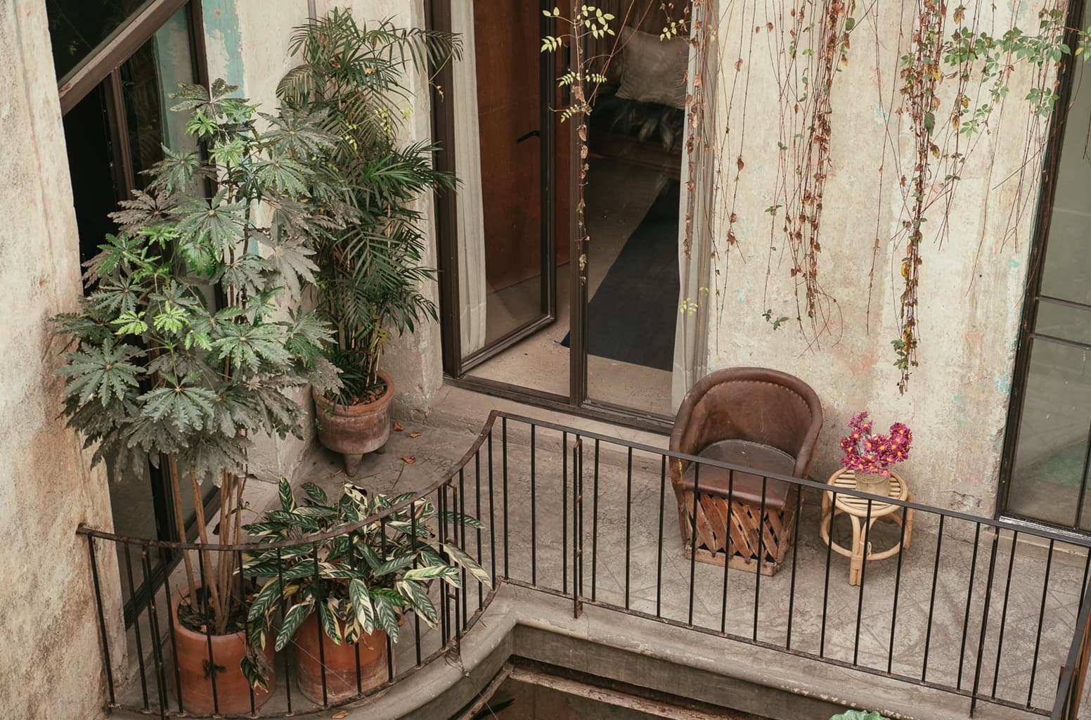 Architectural interior at Jardín Prim Guest Rooms